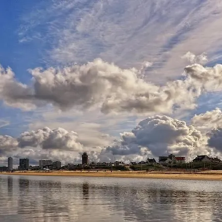 Kingstreet * 赞德沃特