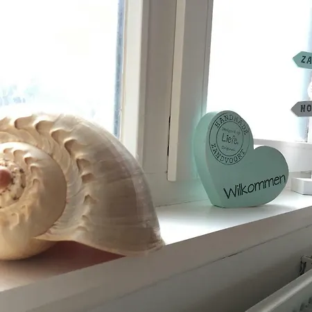 Kingstreet 赞德沃特